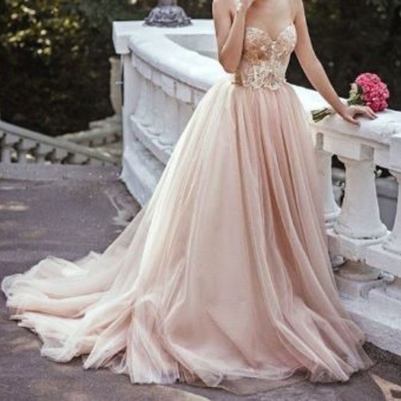 Blush Corset Weddingprom Dress | Poshmark